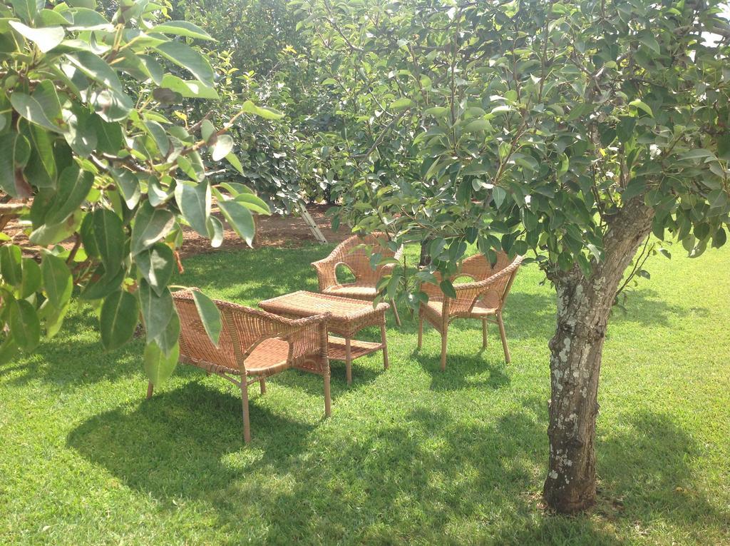Agriturismo L'Agrumeto Otranto Eksteriør billede